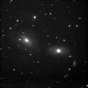 Gruppo di NGC 3166