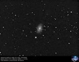 SN 2009 js in NGC 918