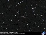 SN 2009 lw in NGC 931