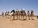 Touareg / Tuareg
