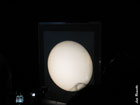 Imagem projectada do sol no Laboratório de heliofísica