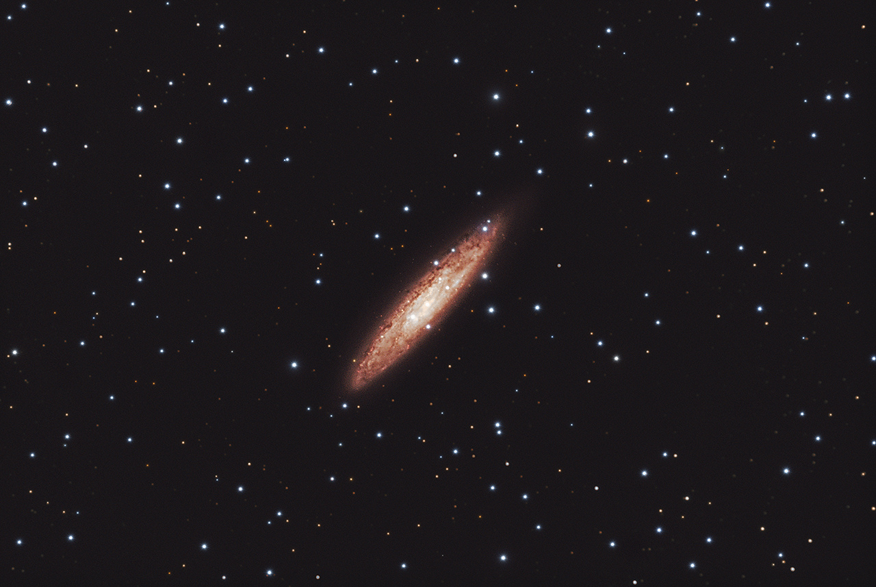 large.5a02ea29087a1_NGC253GalDollarSculp