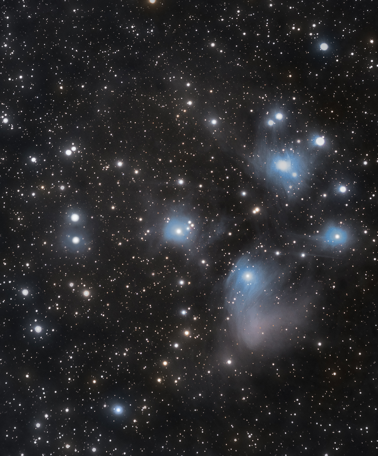 large.5a22580795d82_Taureau-M45Pliades12