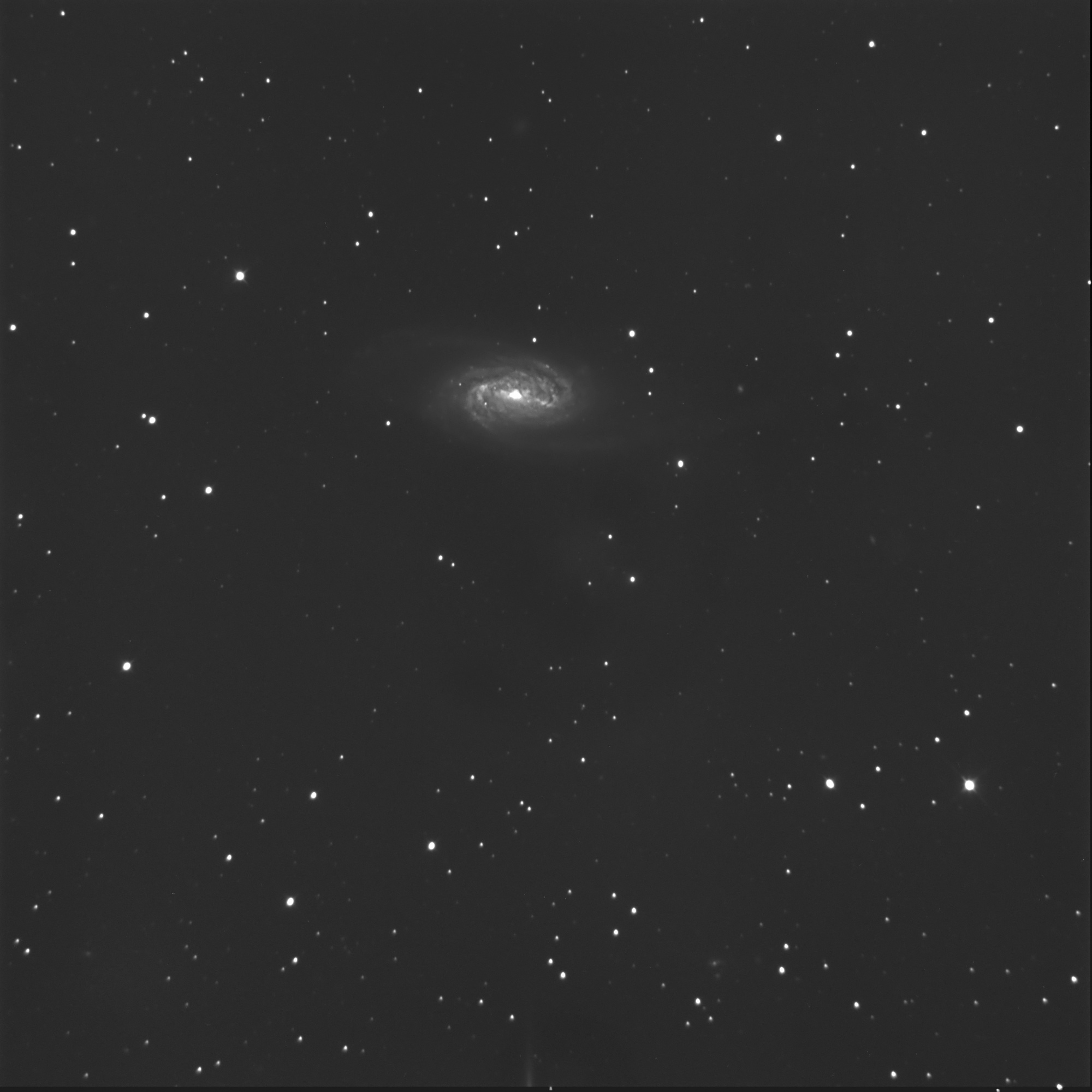 NGC2903_ABEmini.jpg