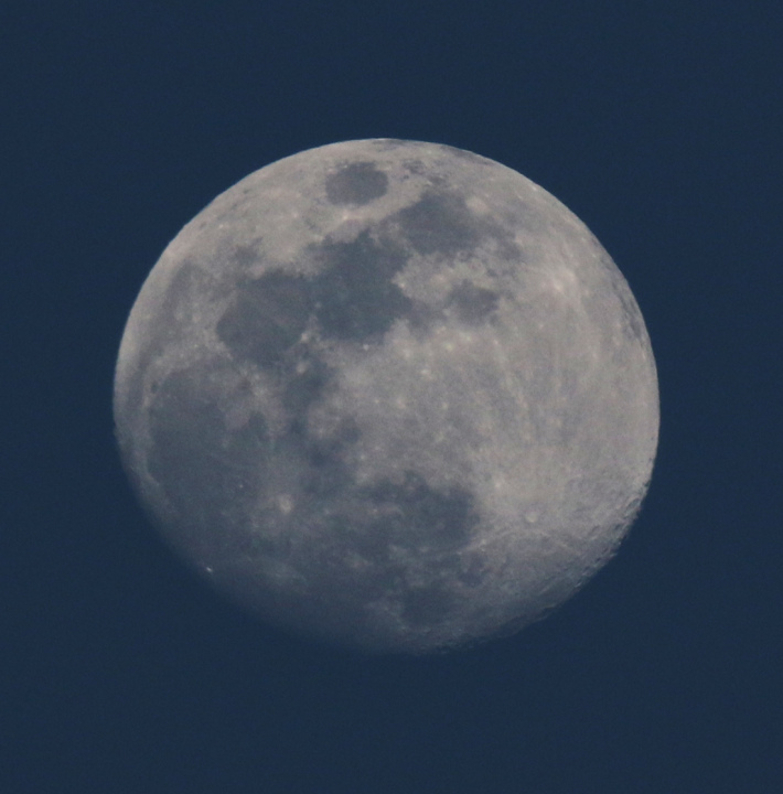 la lune , au soir du 27/04/2018 (42266.JPG)