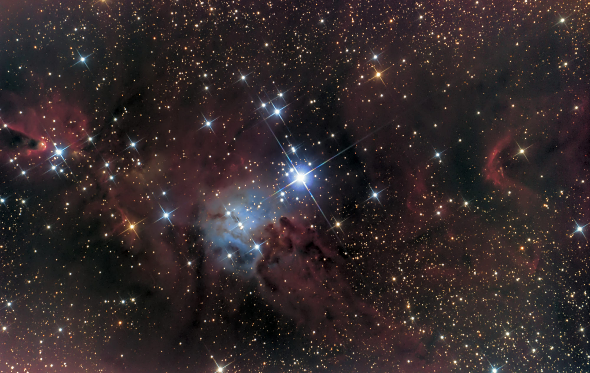NGC2264-Luminance-Binning-X1.jpg
