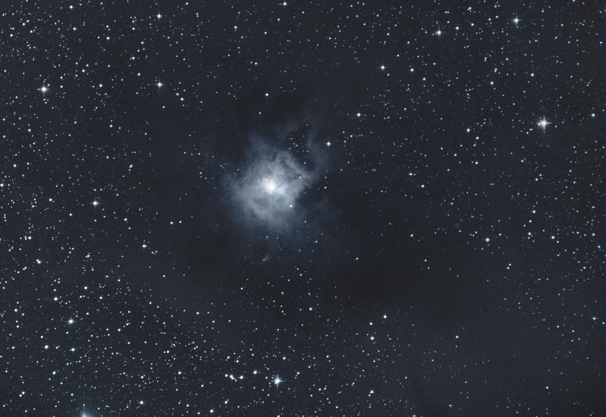 NGC7023.thumb.jpg.02e4e242614a47b96257154480047308.jpg