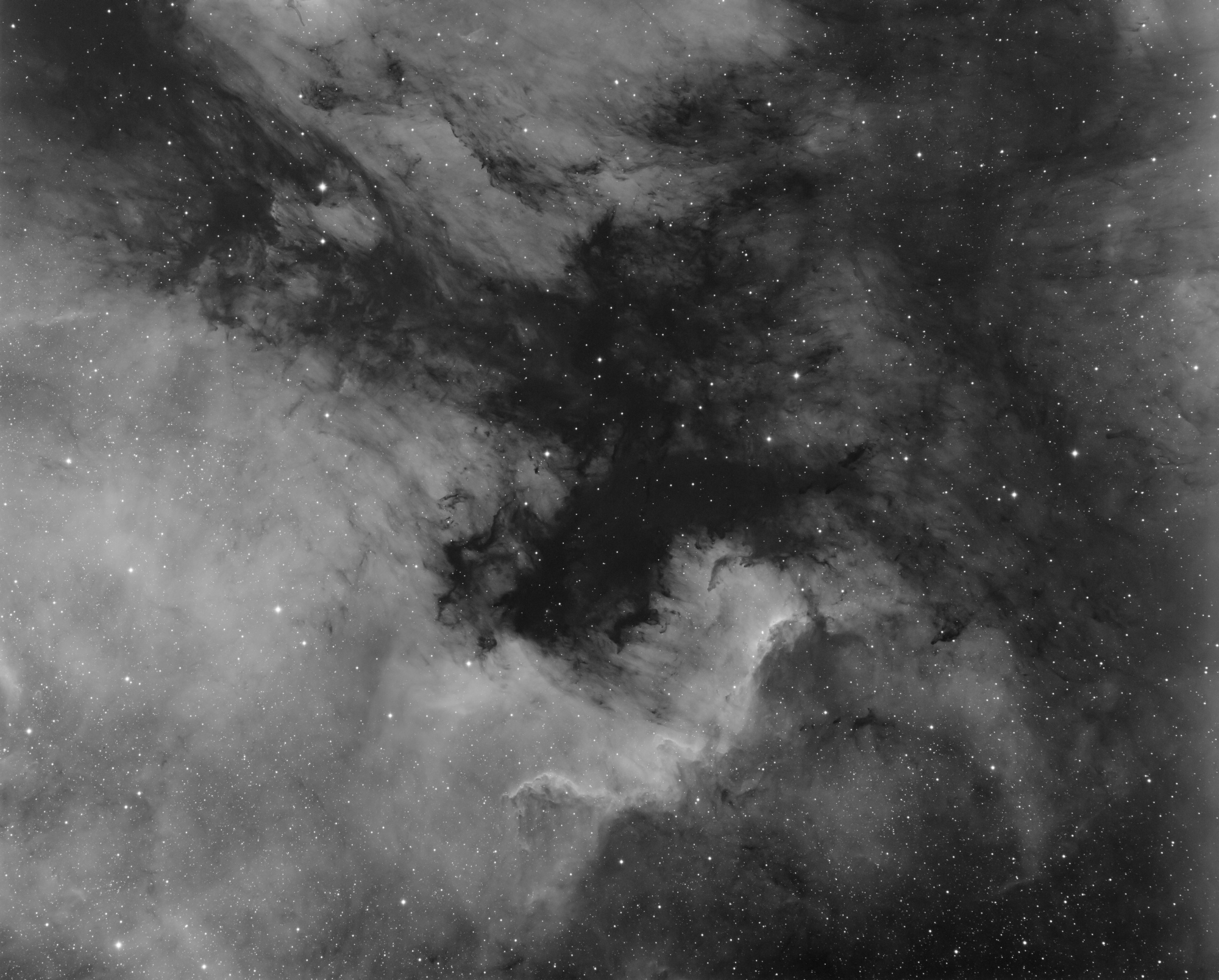 NGC7000_Ha.thumb.jpg.d2d259d541ec25dde5d6d2c29986c890.jpg