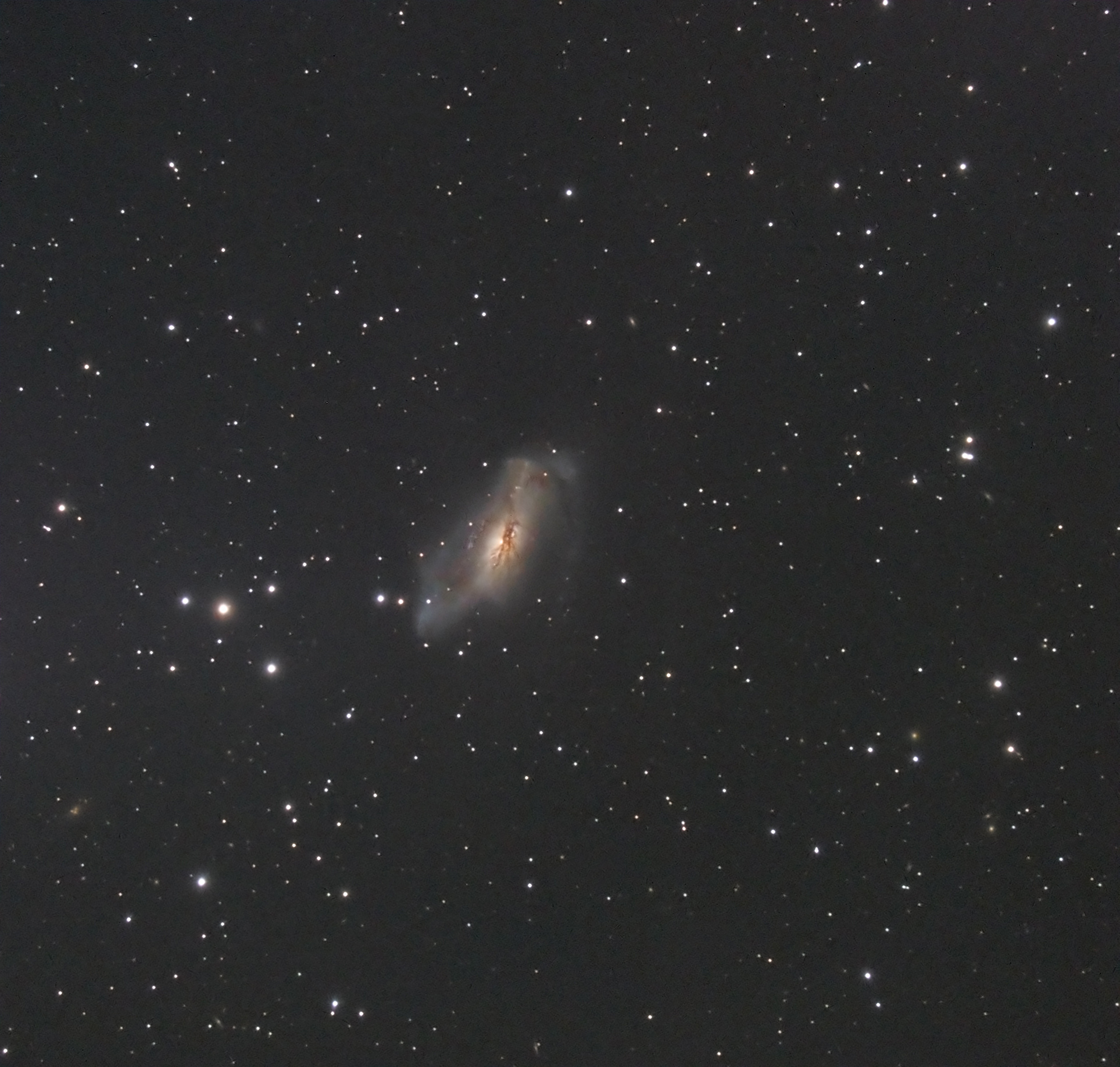 NGC2146_XRGB_TB.jpg.0c9c74ffc92b9fd54d6b9ce63a56427b.jpg