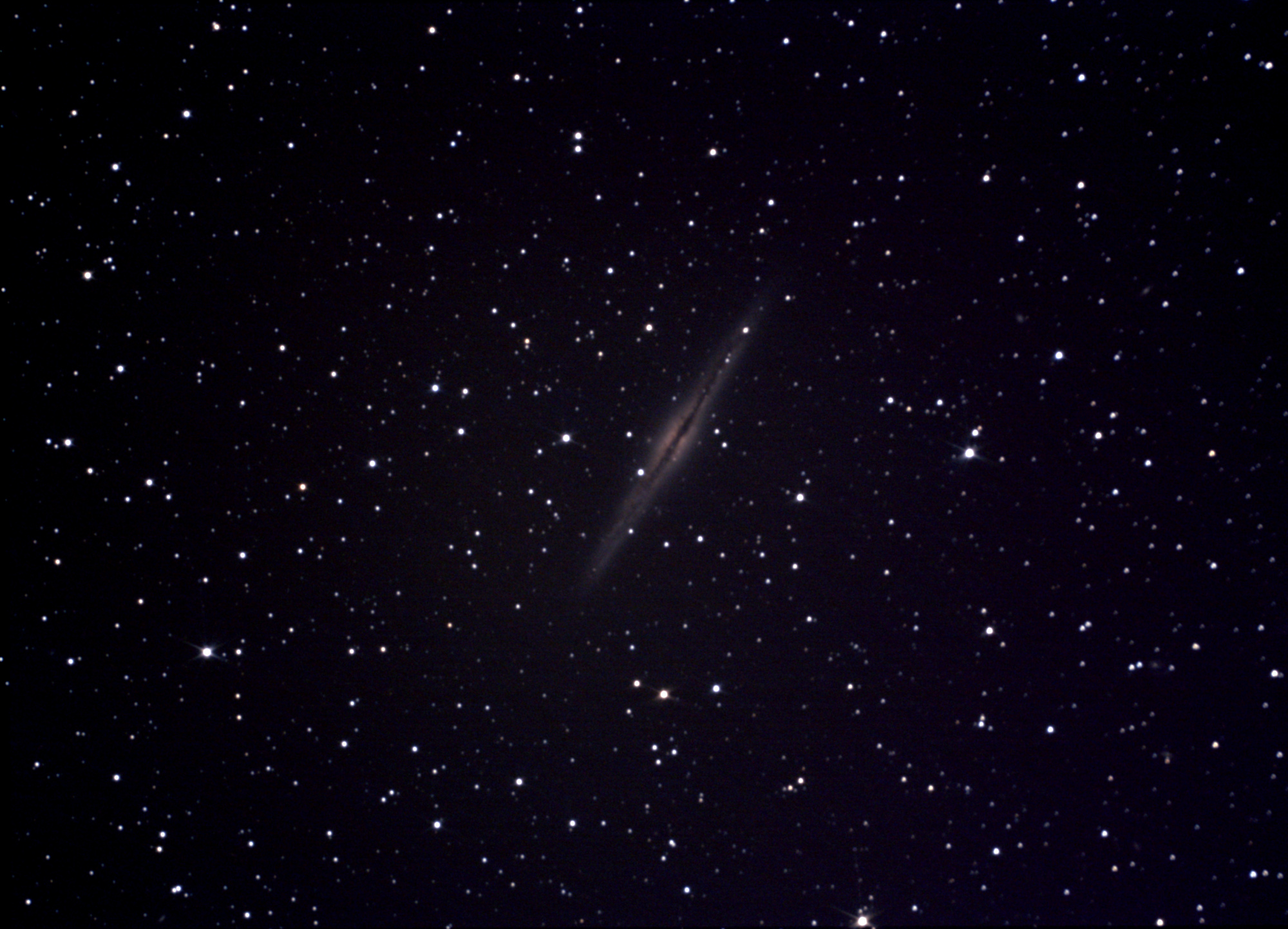 NGC891-Pr_2020-01-19-21-46-562020-01-19-21-46-56_pipp_stacked.thumb.jpg.e7771c1fff7eeb1f82b443fd96c99dbf.jpg
