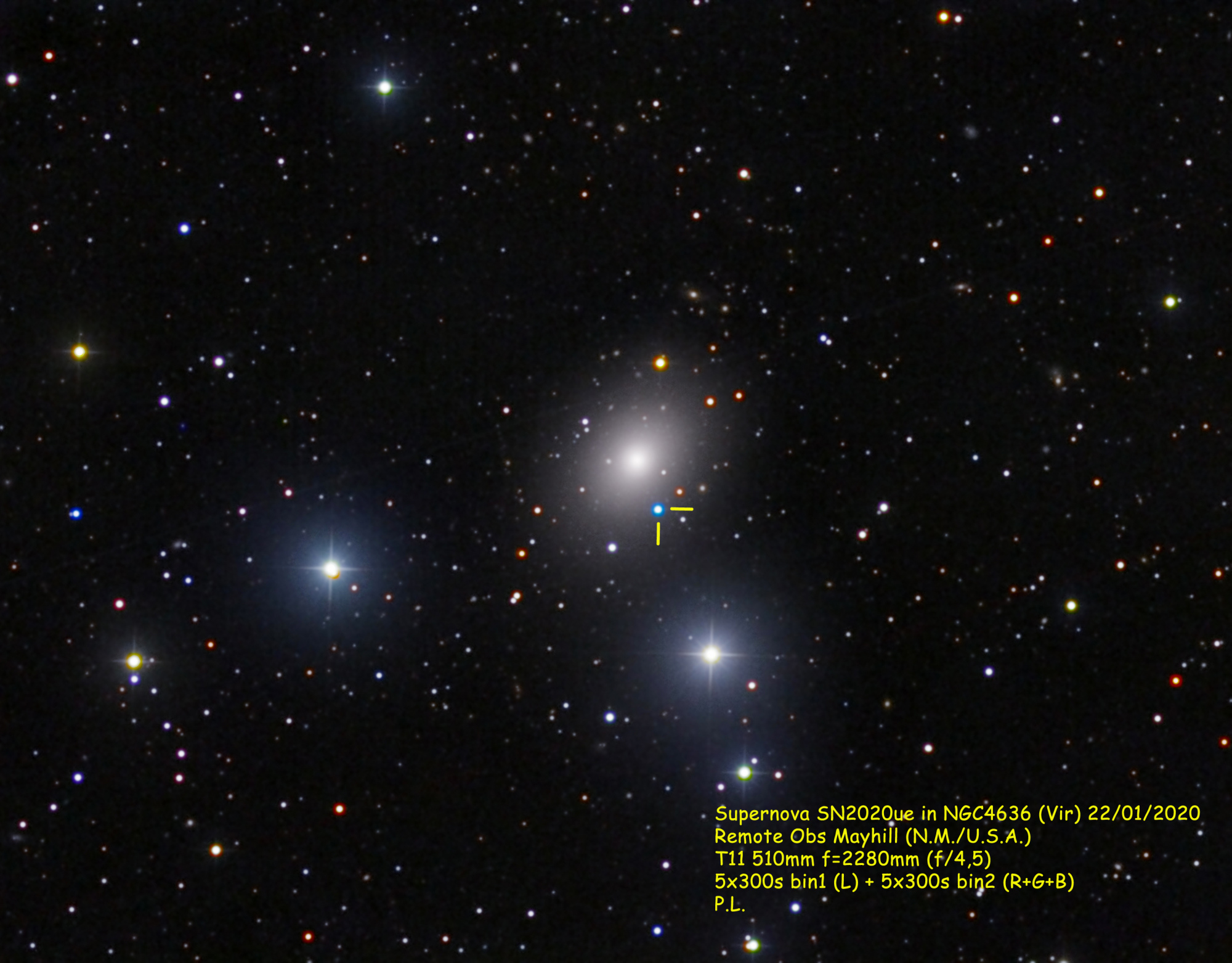 NGC4636_SN2020ue_txt.jpg