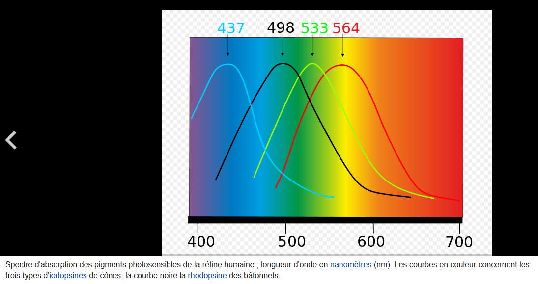 Spectre_absorption_des_cones.png.0905ecb68c6e05cbd29fa38a92a5730f.png