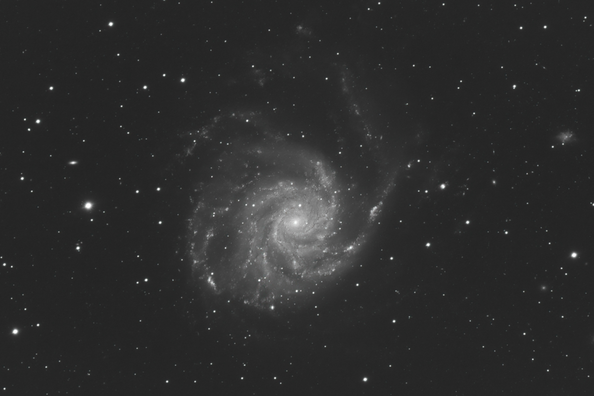 M101-L-2048-crop.JPG