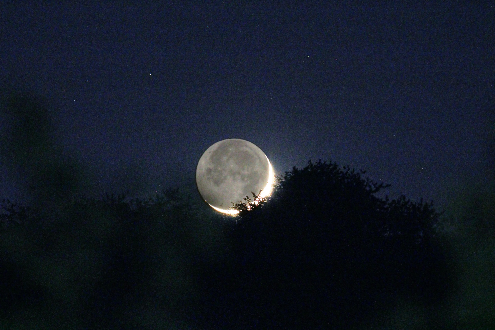 Lune cendrée 2787B2N1 send.jpg