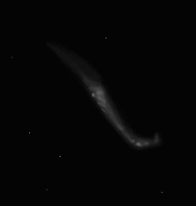 5ed00bba9f499_NGC4656CVn.jpg.fdcb2d576e6473650fc07a94ff56f740.jpg