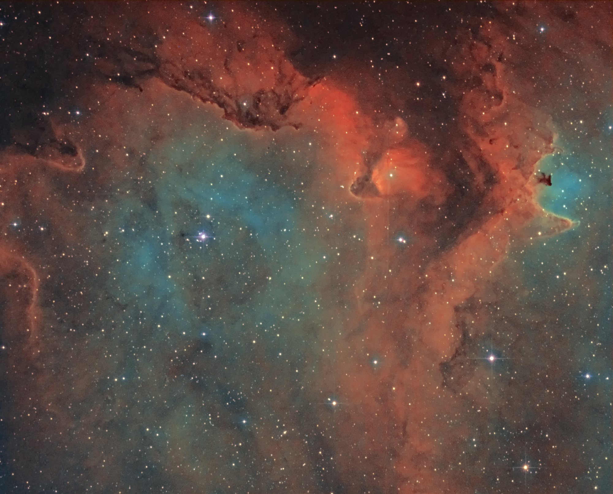 IC1848SHO-HOO.jpg