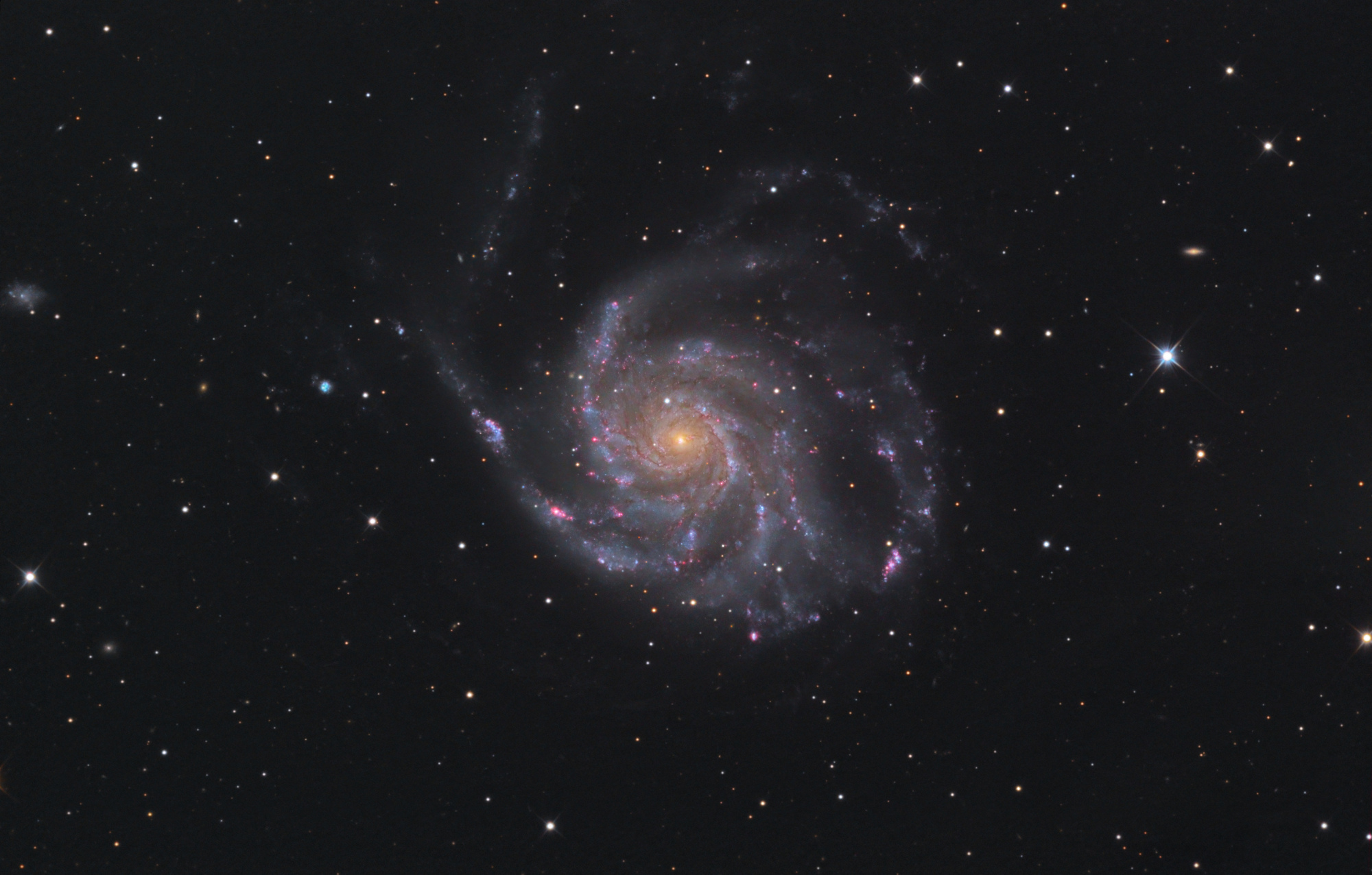 M101-Newthom-T-Bexant.thumb.jpg.e11d7f8091fb101c14516e08a4e13e07.jpg