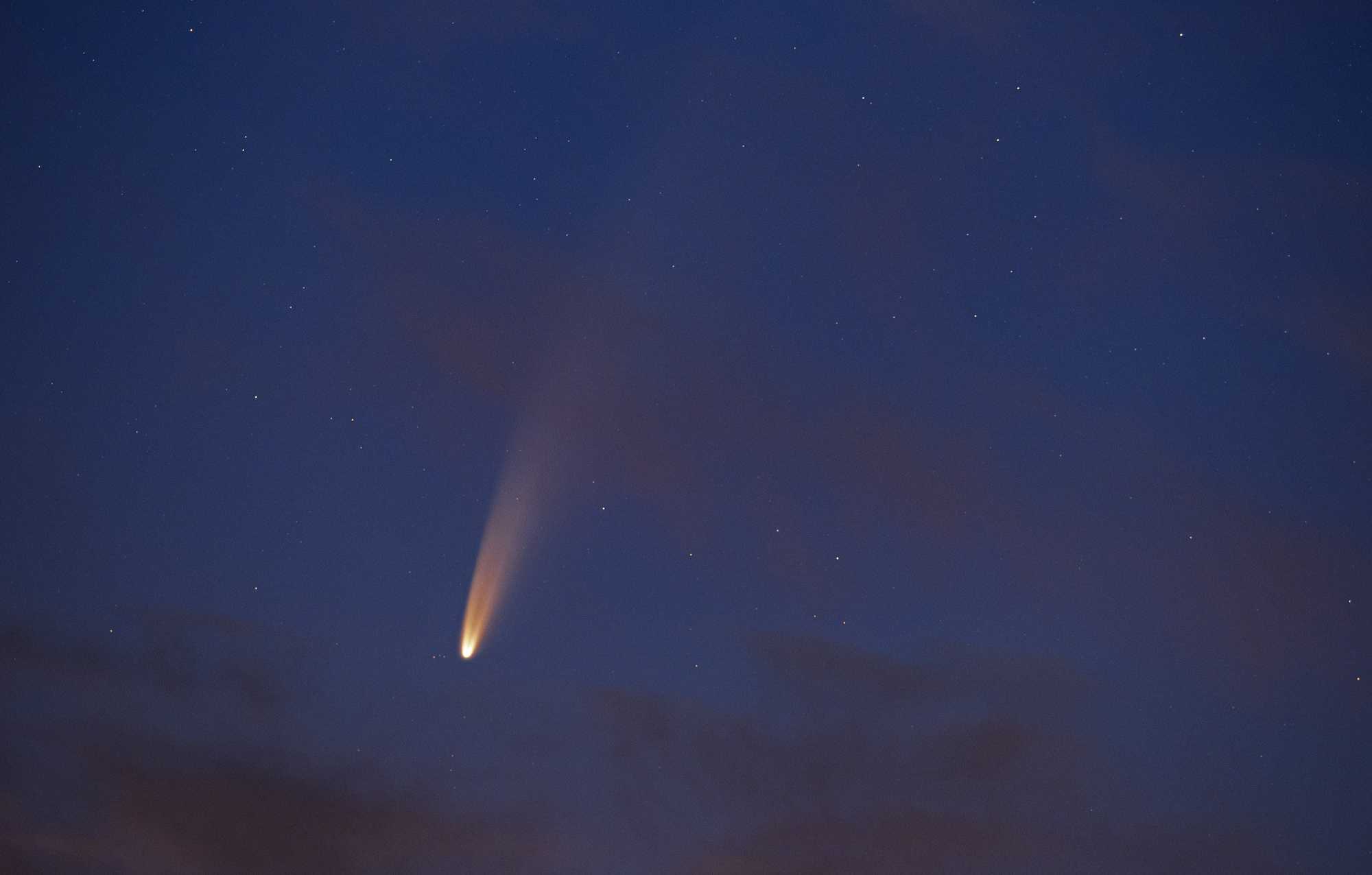 Comète Neowise 08 juillet 2020 1 BD.jpg
