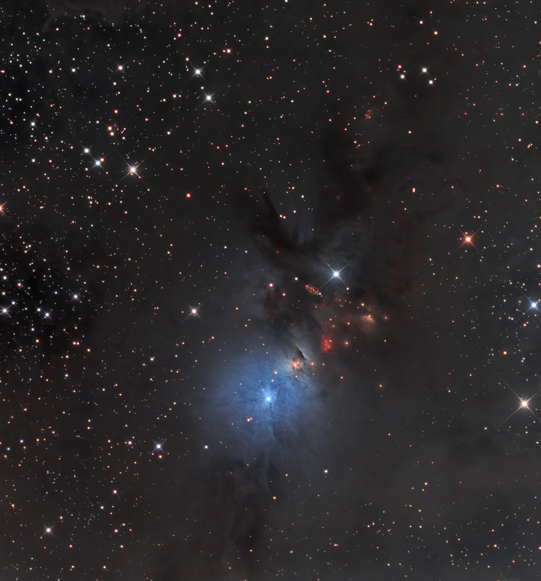 T Bexant - NGC 1333 - NEWTHOM