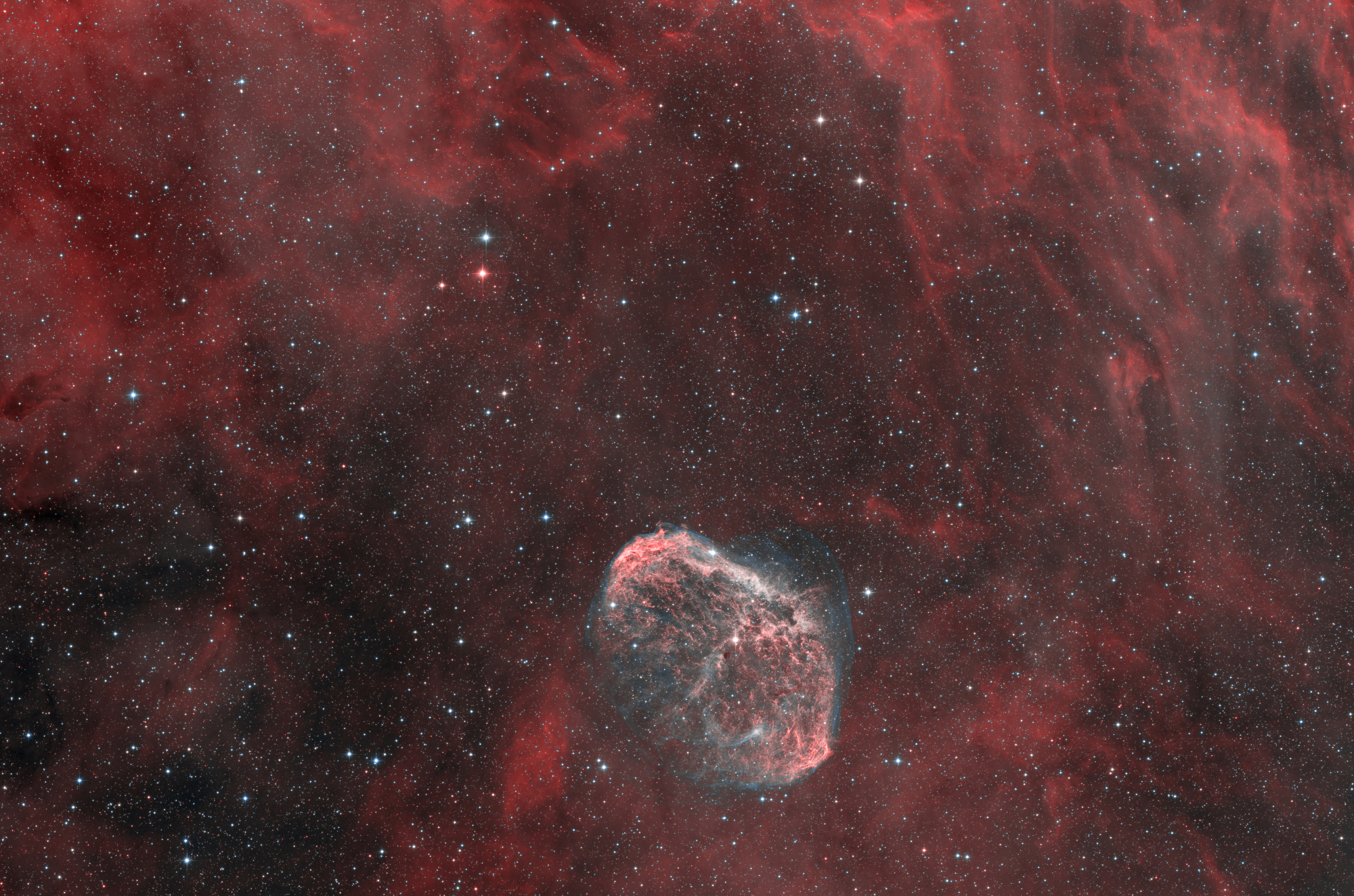 NGC6888HOI-HOO-V2-Bin2.thumb.jpg.d1dc70b48ecf0e5d7e659e87abdadeeb.jpg