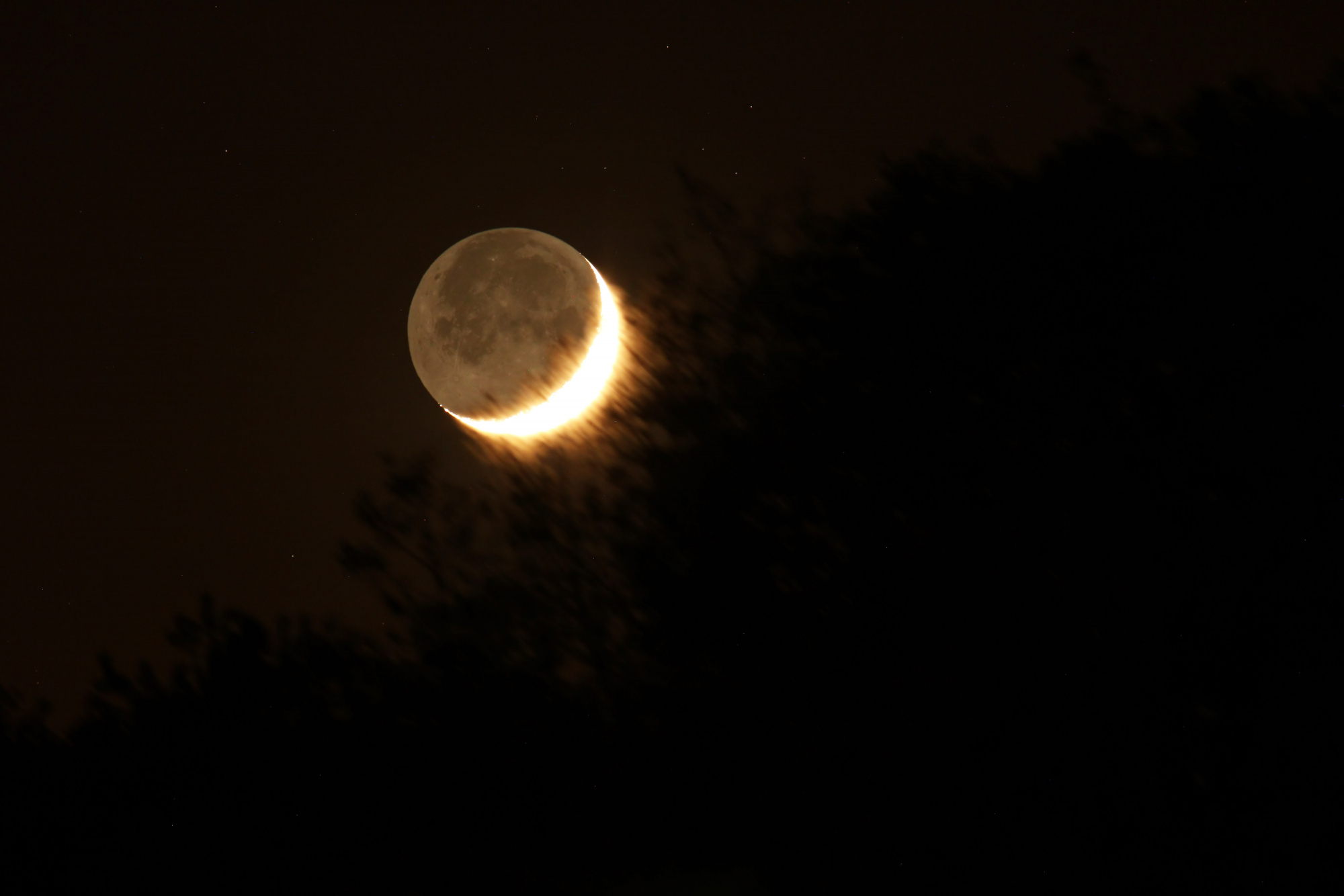 Lune cendrée 2787B2N1 send.jpg.jpg