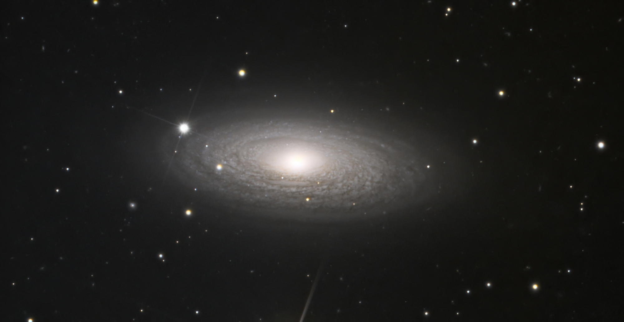 NGC2841-denoise-low-light.thumb.jpeg.7386ed1f212f016282290e0aee9bf24a.jpeg