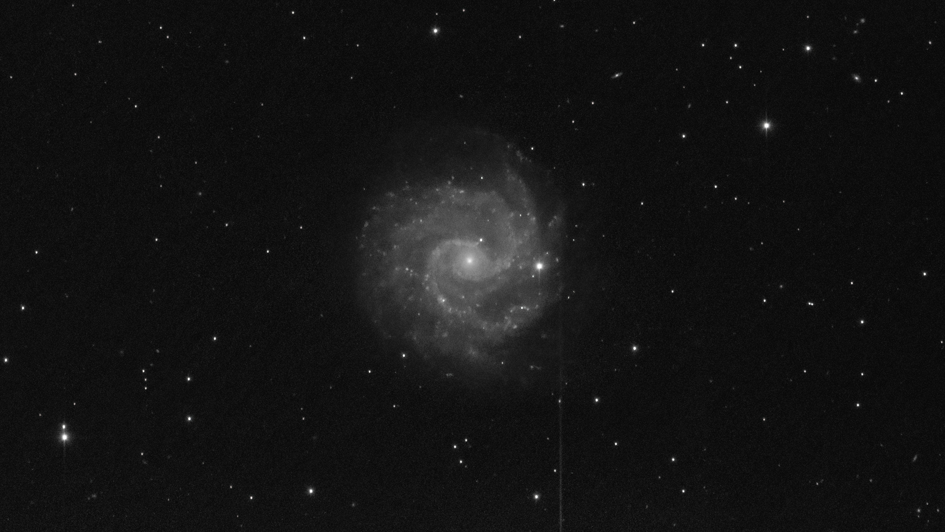 602f874022071_r_pp_NGC3184_stacked(1).jpg.dbee05a4b2b024349b868376dc236b25.jpg