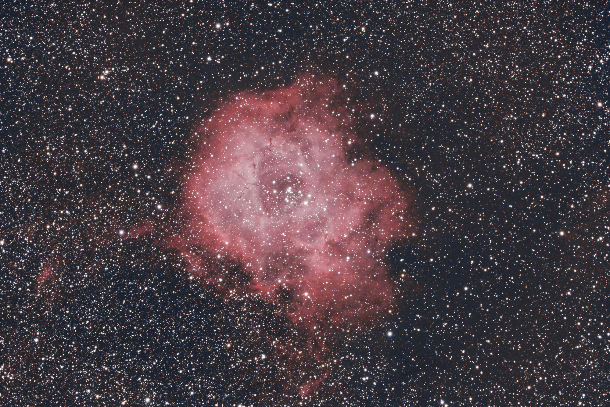 NGC2244_40x300s_55d_gain100_20210108_-20C_LP_PS.thumb.jpg.37efcc05a6d61cd32ae419b0ec13f414.jpg