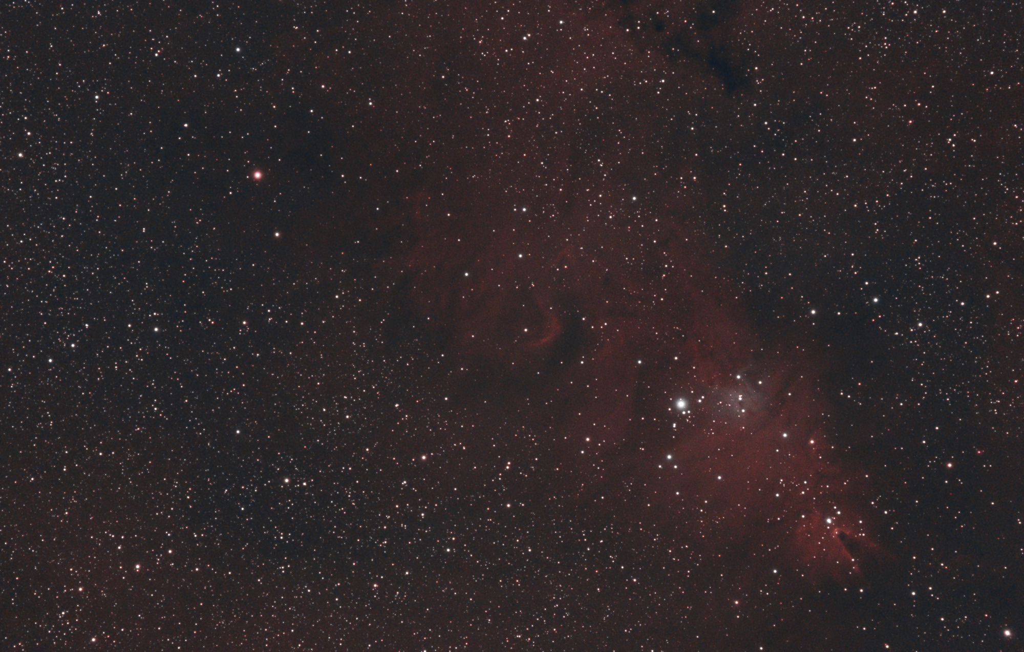 NGC_2264_20-02-2021.thumb.jpg.d9bf3ef45c9e6d7572983586bf8d7f87.jpg