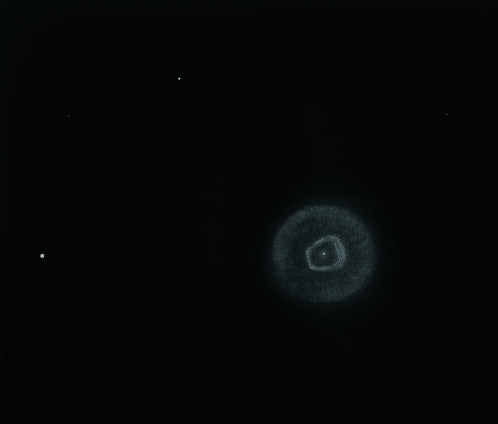 NGC2392_2021-03-05_23-45_T400x742_gbe_small.jpg.b8e6f68fdcae4ab7c4a80583f5e5c6b2.jpg