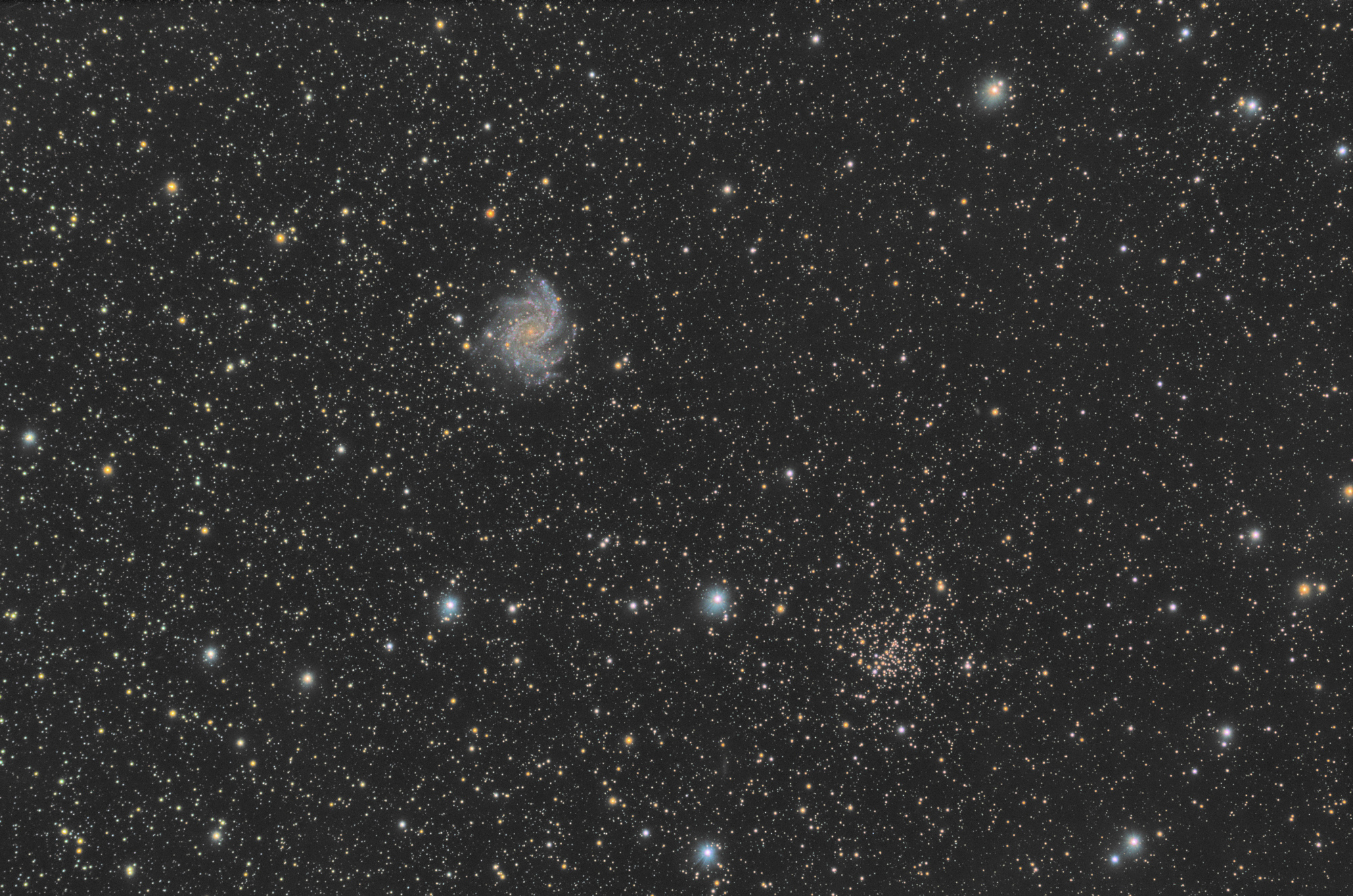 60c53658b3b4b_NGC6946Opencluster.thumb.jpg.080dd6c570b09c8c312f3b0f789eee46.jpg