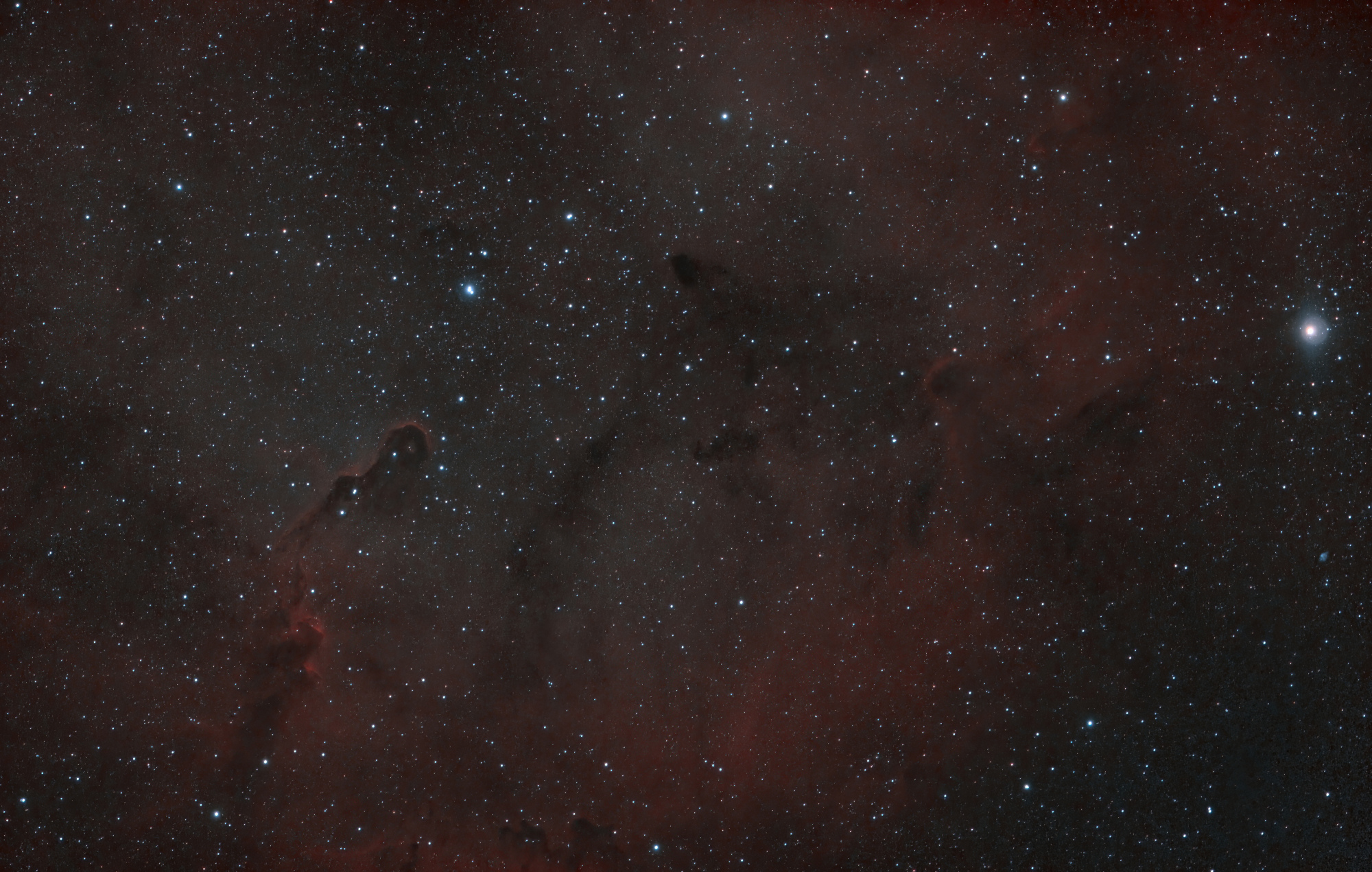 2021-08-multi-IC1396-HOO-denoise.jpg