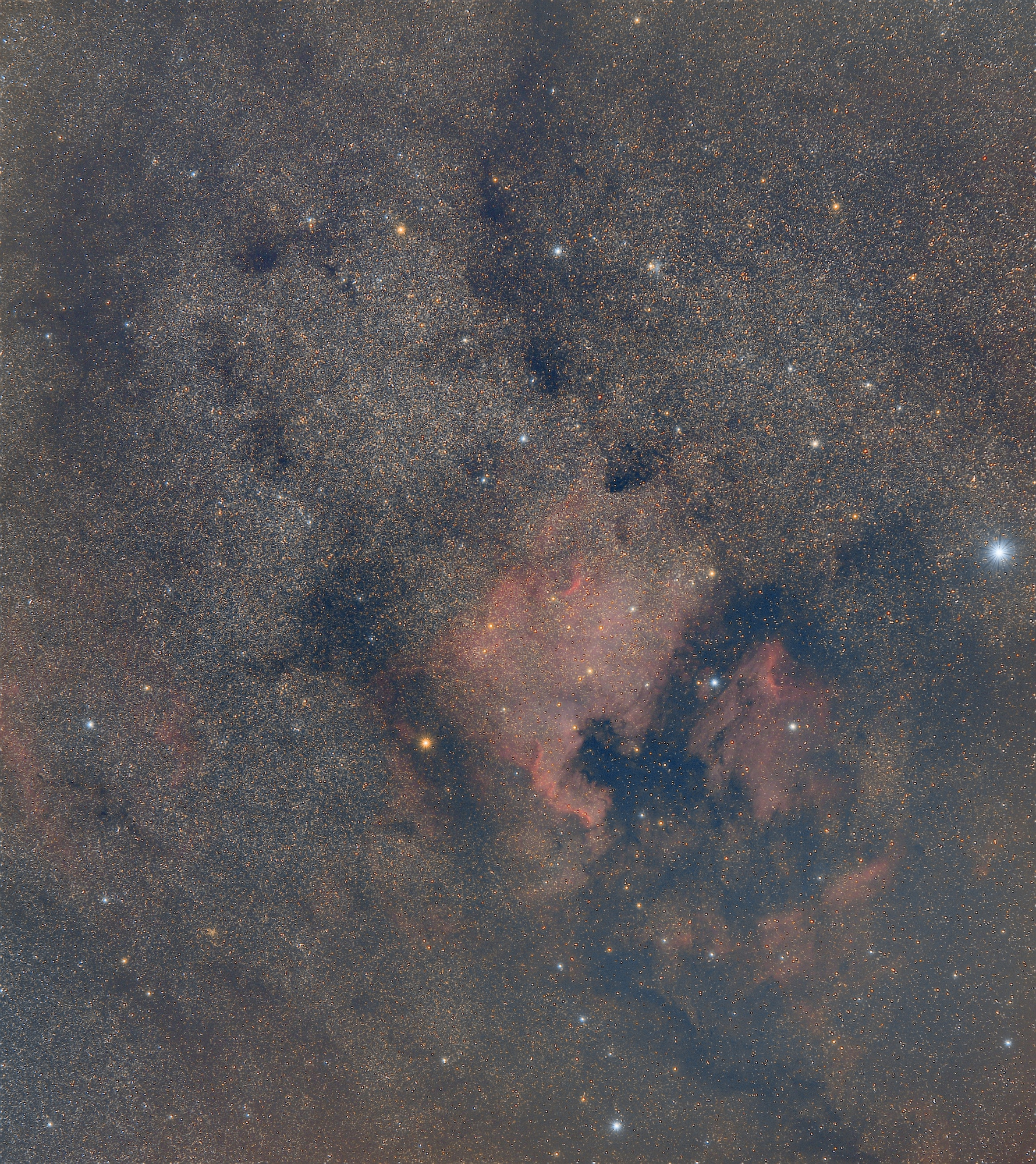 NGC7000-Amérique du Nord.jpg
