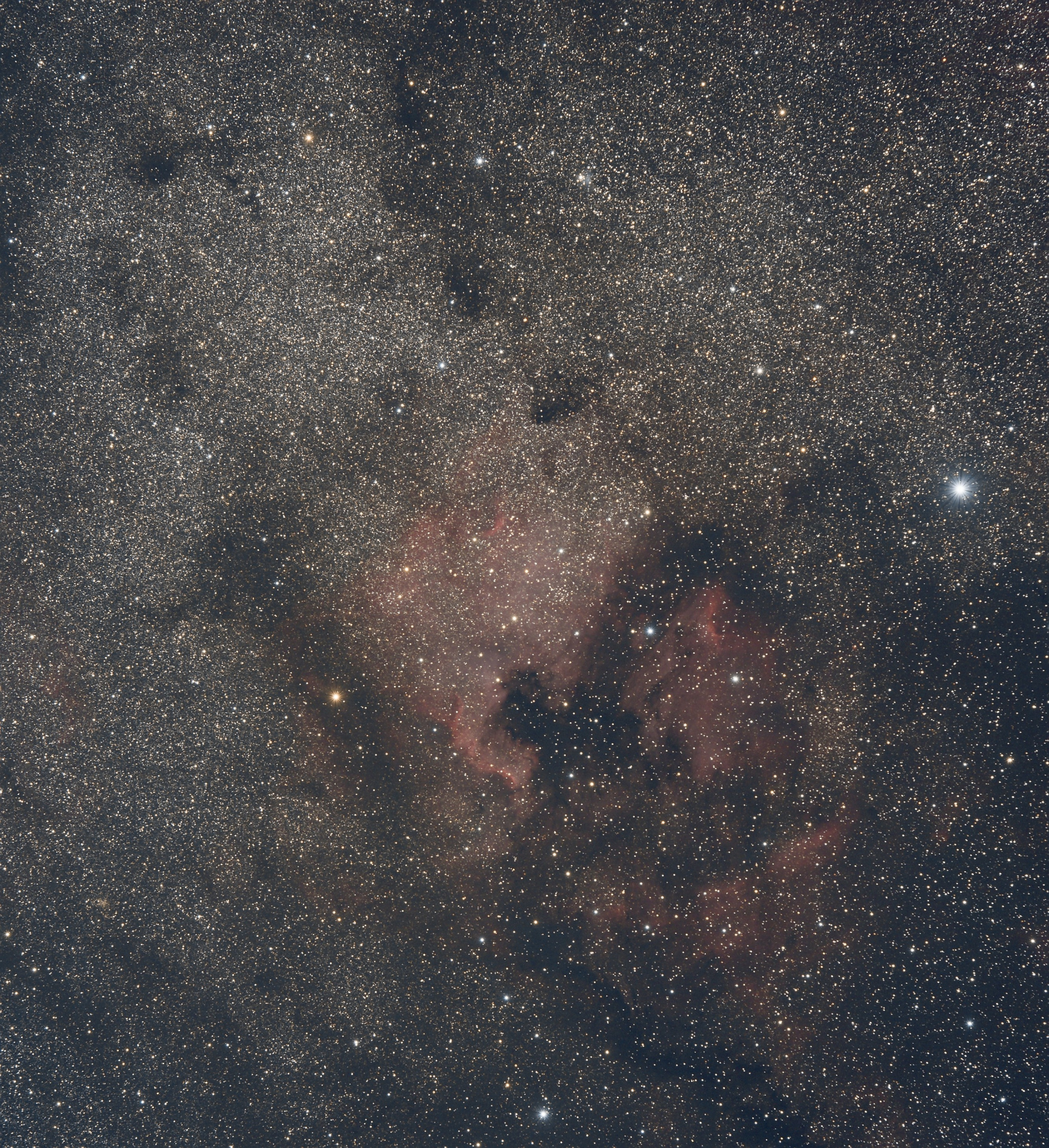 NGC7000-Amérique du Nord-V4.jpg