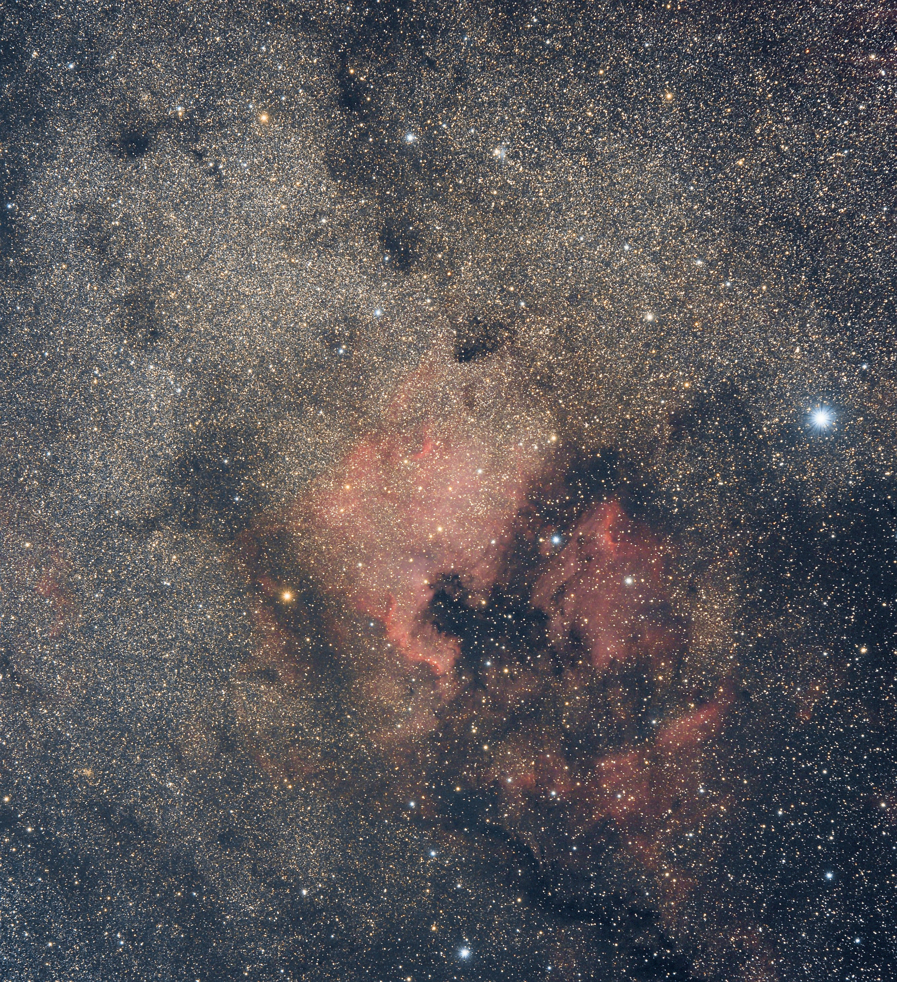 NGC7000-Amérique_du_Nord-V4-1.jpg