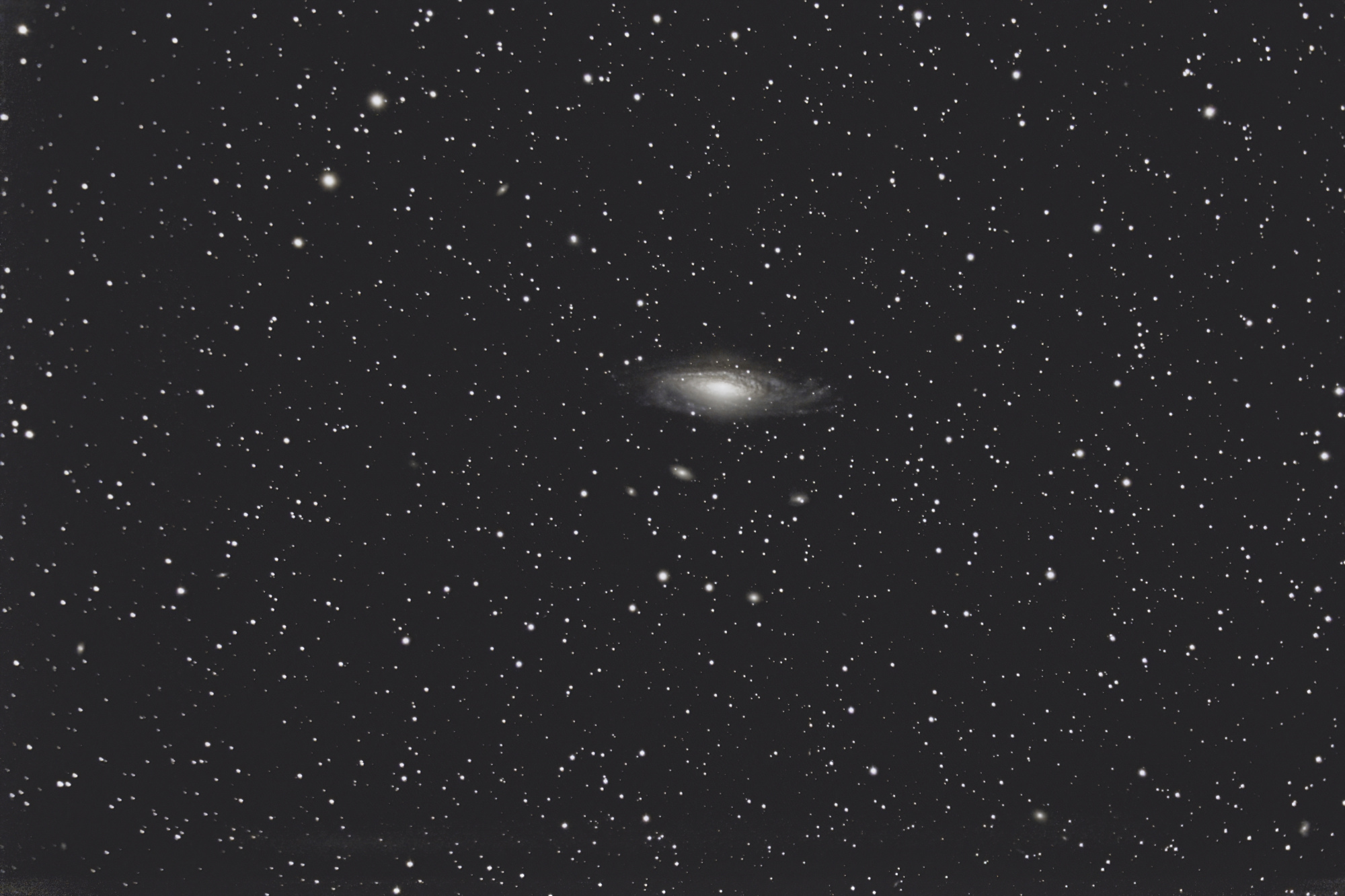 NEW_04_NGC7331_SIRIL_FITSWORK_DNAI_CS2.thumb.jpg.b026ff3ad774a5c0fbba7d699d0ae644.jpg
