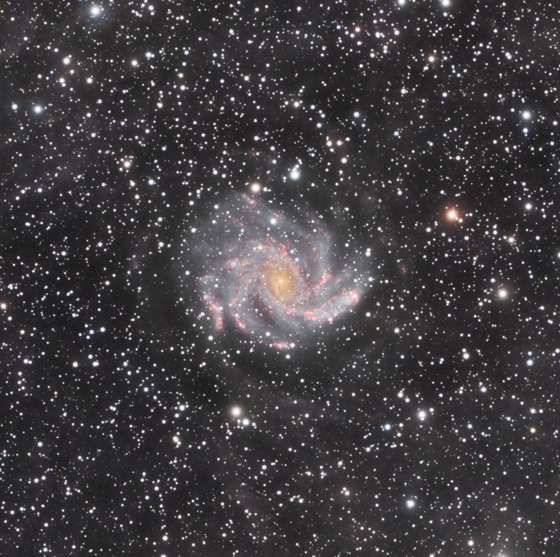 NGC6946.jpg.56bbaa5cb9aceac27cae27ff37de70c1.jpg