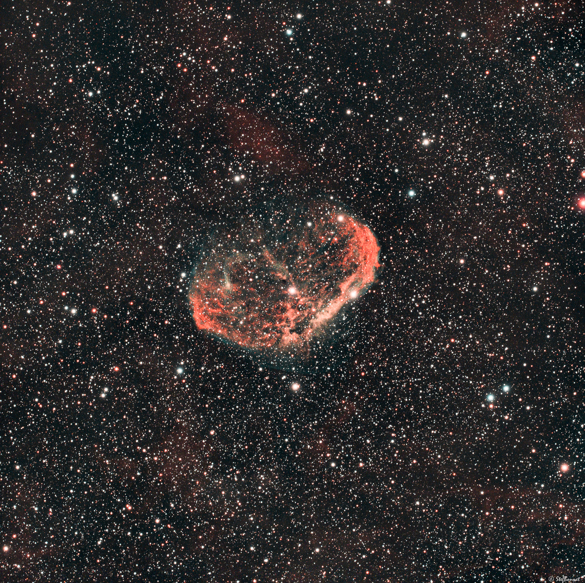 61ca14f5194c9_Croissant-NGC6888-20210813-Web.jpg.a82fbd47c049304f7c79e9158f6f0882.jpg