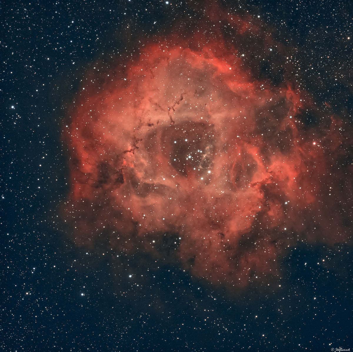 61d49cfbbf5ee_Rosette-NGC2239-20220101-Web.jpg.c2cdd3c5dc057aea945ea34c2e4cb6d8.jpg