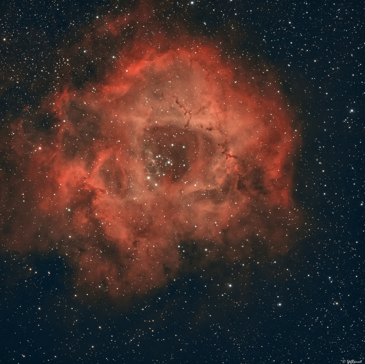 61d581b61f6f1_Rosette-NGC2239-20220101-Web.jpg.3dd8e515f5fd7b453e106b3604b3b8c9.jpg