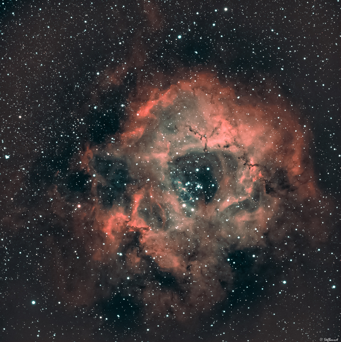 61f2f8d3a08b4_NGC22392244Rosette-Web.jpg.6c4141f89dbc47a59b07525a33ee9f34.jpg
