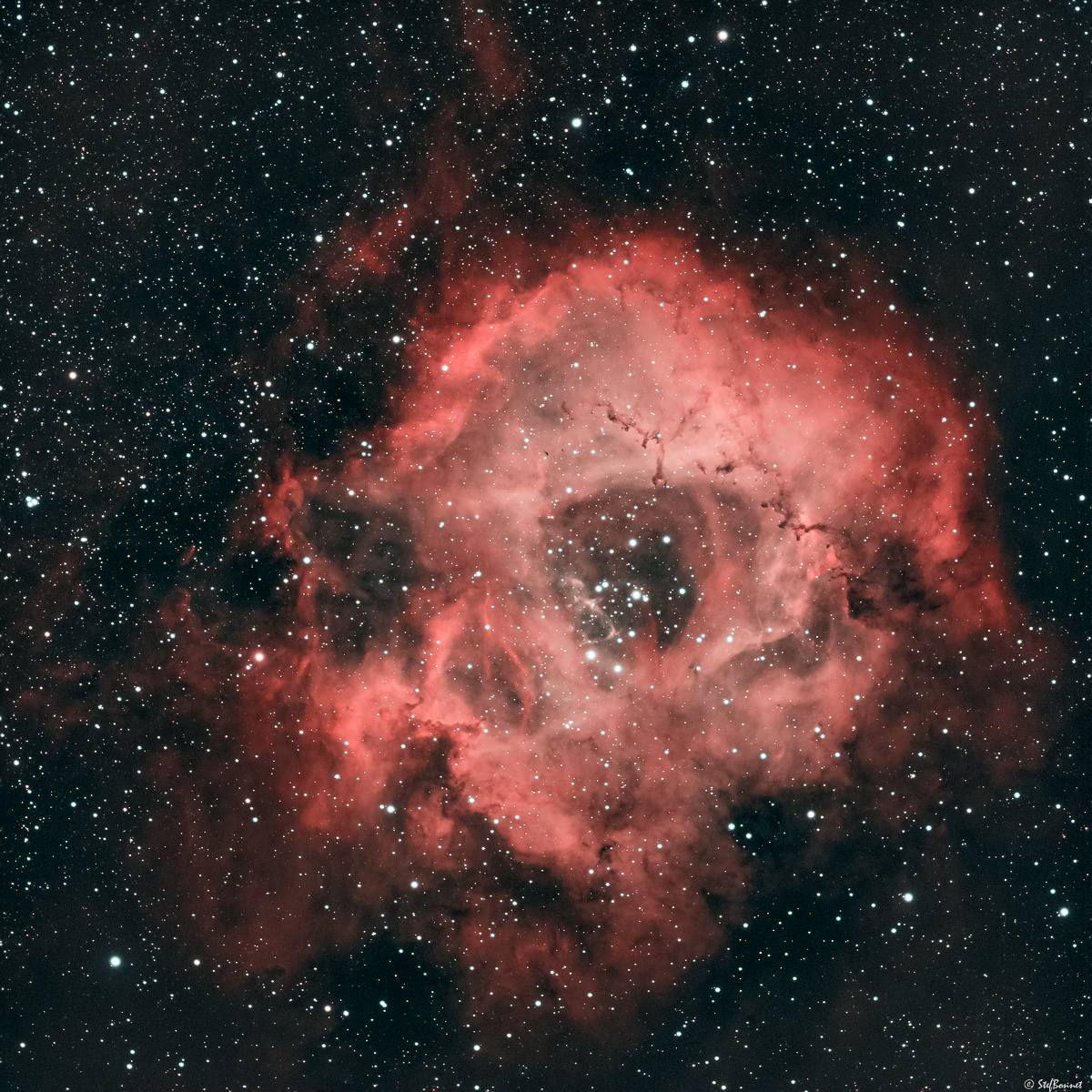 61f3ecbf84bf5_NGC22392244Rosette-Red-Web.jpg.668aa8925f43e34b97b4f2413edcfb3d.jpg