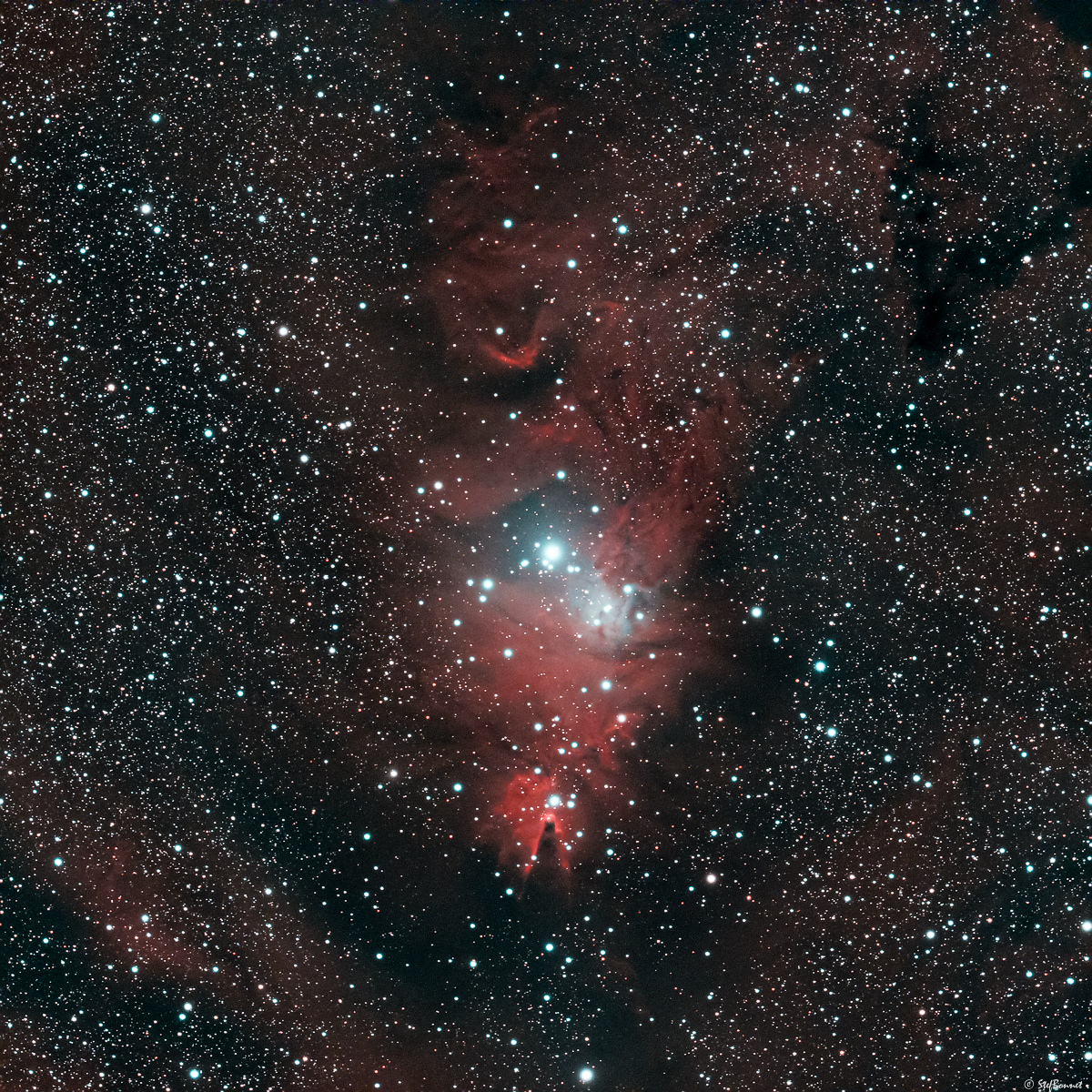 61f465cbe3073_NGC2264Cne-Web.jpg.4d3aaa0472fb93b697d481dc038308e5.jpg