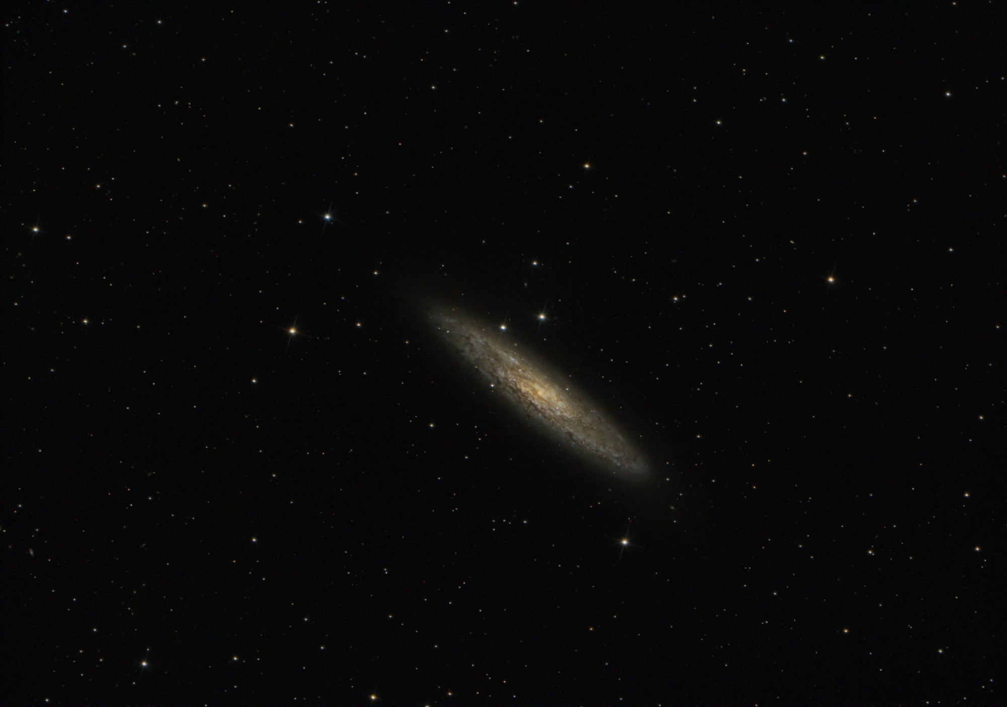 NGC253_stacked_26poses_W3SH3_crop_miror_grad_photom_Asinh_Histo_Sat_gimp_comp.thumb.jpg.28232a2070d254b4ab12fb2ea165bce8.jpg
