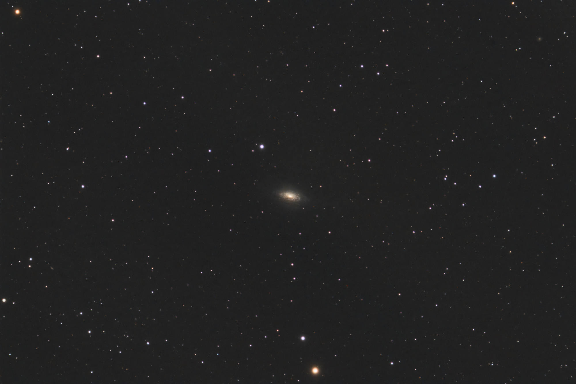 6230273a411b8_NGC3521_RGB-ED80-siril-Pixfinale.thumb.jpg.8c3fb42acf940633e1ff6959ac6b41cd.jpg