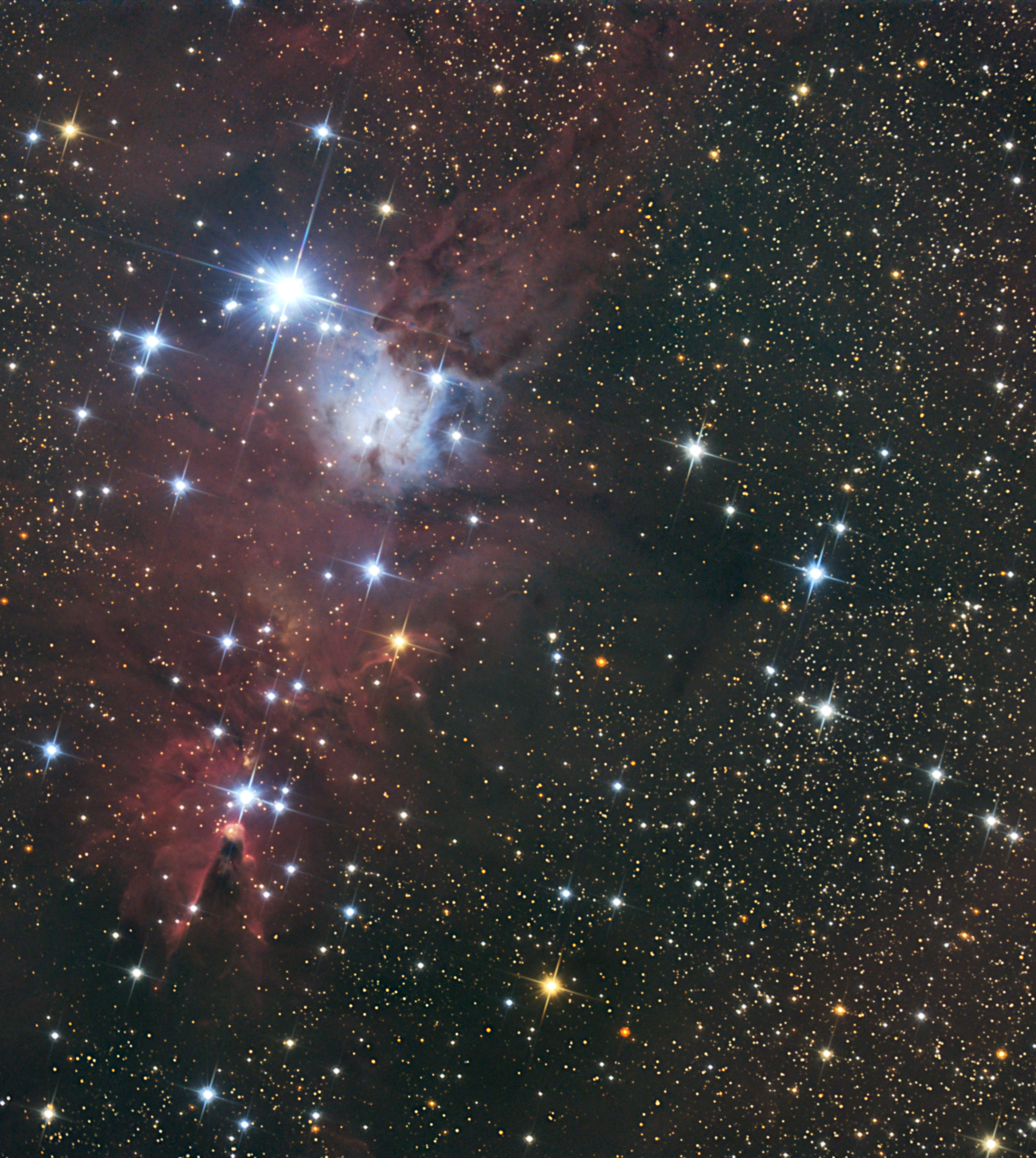 r_NGC2264_2261_stacked_128poses_Stud_miror_photom_Asinh_2Arcsec_Pix.jpg.8f25a72700d48429a105545a8d856b53.jpg