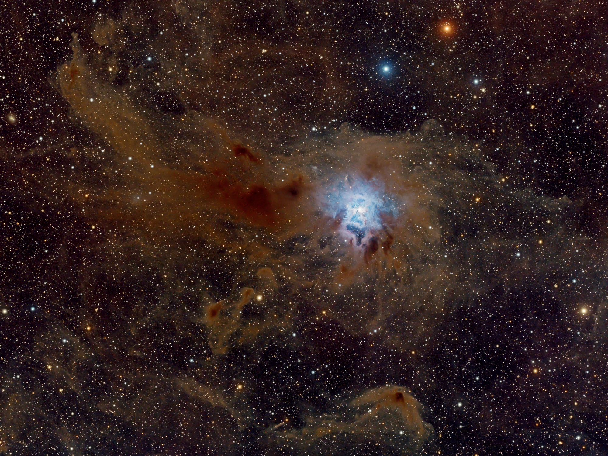 21_NGC7023.thumb.jpg.d3f96c6cd4e53436ad13ff8994ea8cc3.jpg