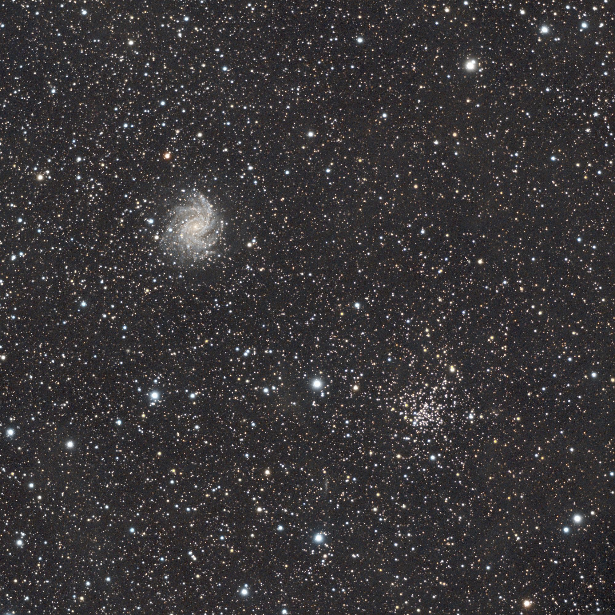 NGC6946.thumb.jpg.85fed7416f25e47bf712e4a7bc8bb579.jpg