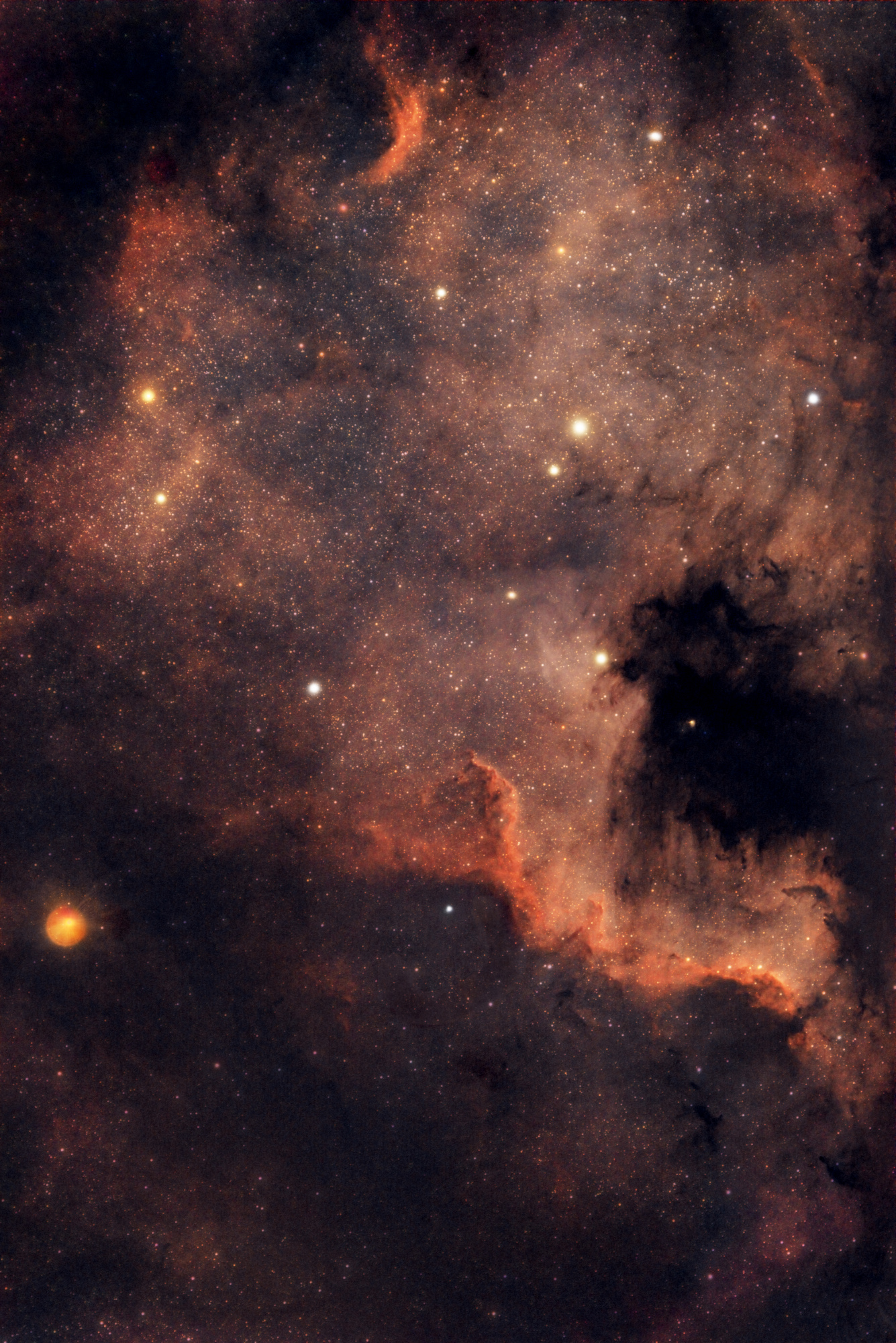 NGC7000_80ED_Tenebres_demi_starless.thumb.jpg.044f0ca3233ee295bb403050a42e2e39.jpg
