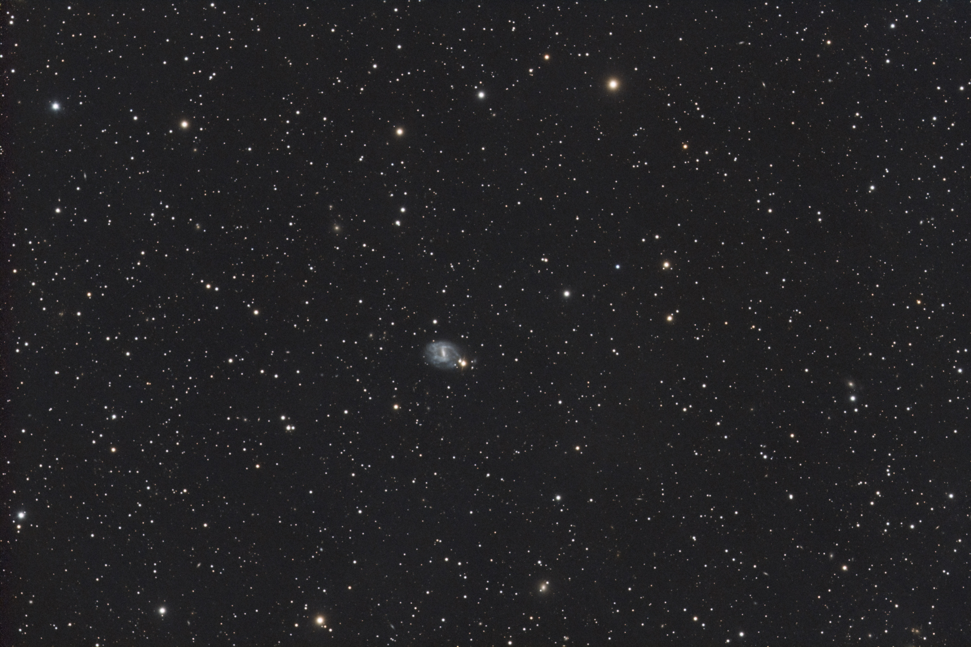 NGC 7741_SIRIL1-iris1-cs5-3-4-FINAL-4.jpg
